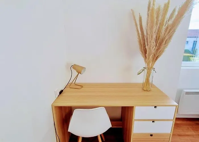 Le De La Sevre 8 Pers Proche Puy Du Fou 3*